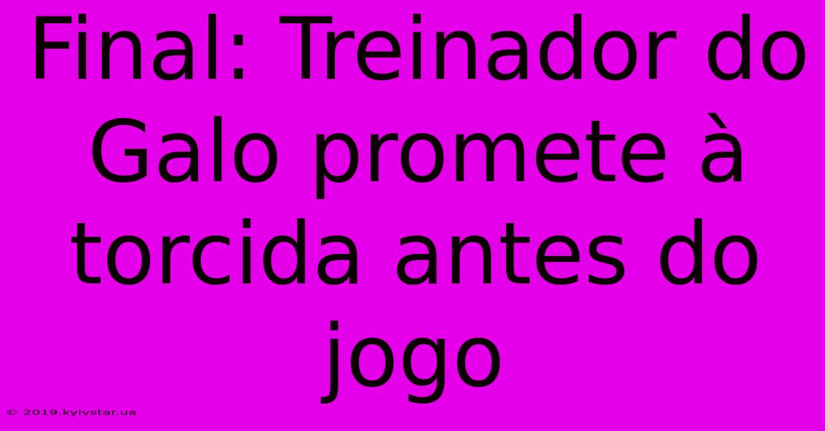 Final: Treinador Do Galo Promete À Torcida Antes Do Jogo