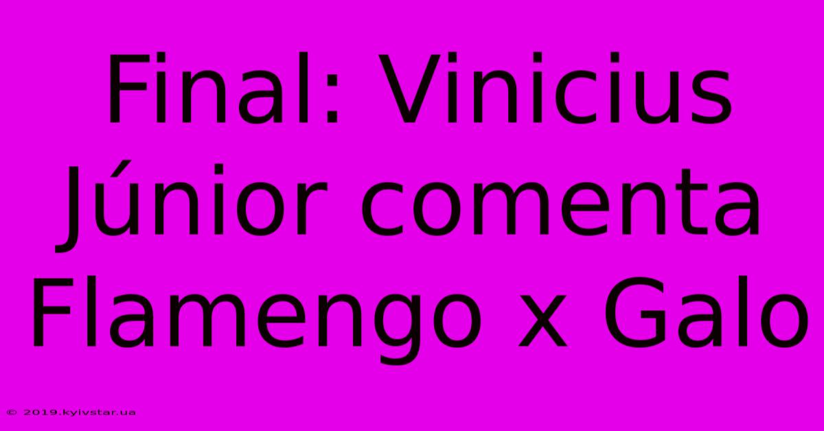 Final: Vinicius Júnior Comenta Flamengo X Galo