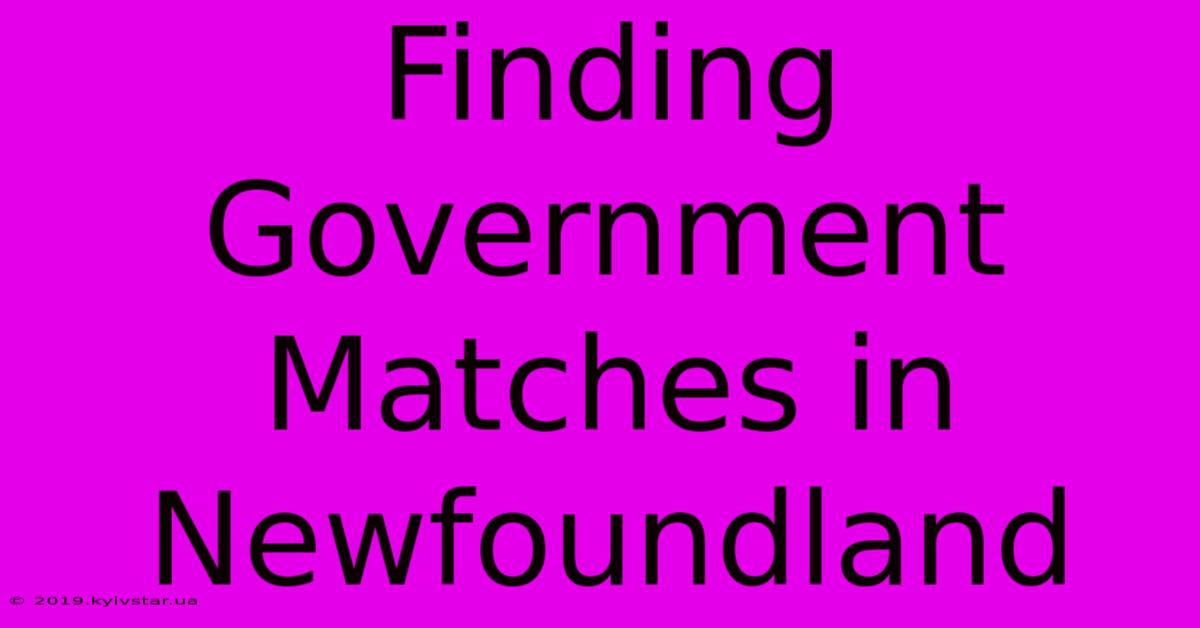 Finding Government Matches In Newfoundland