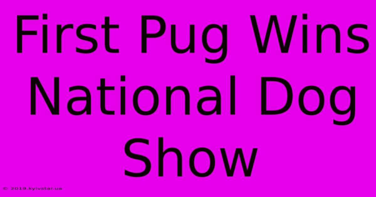 First Pug Wins National Dog Show