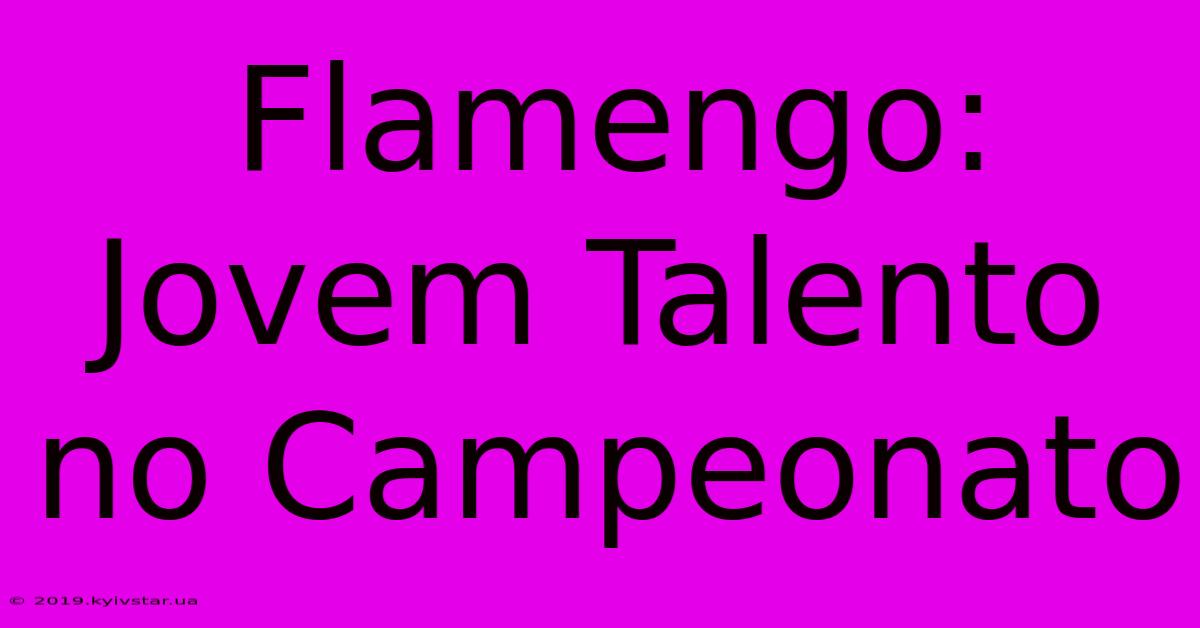 Flamengo: Jovem Talento No Campeonato