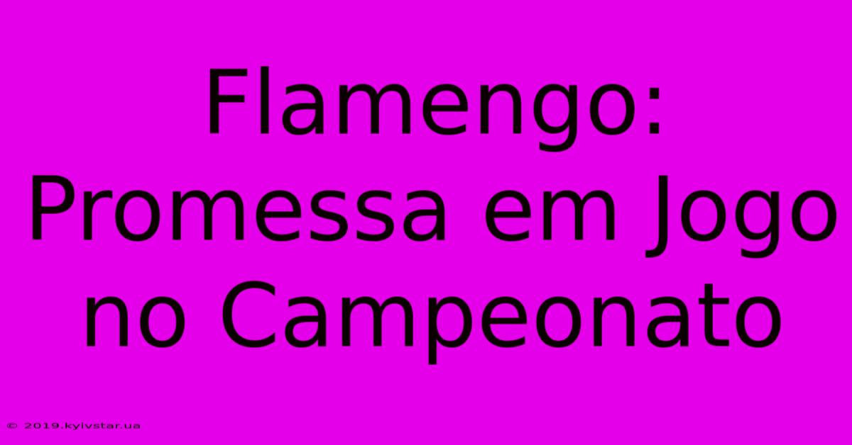 Flamengo: Promessa Em Jogo No Campeonato