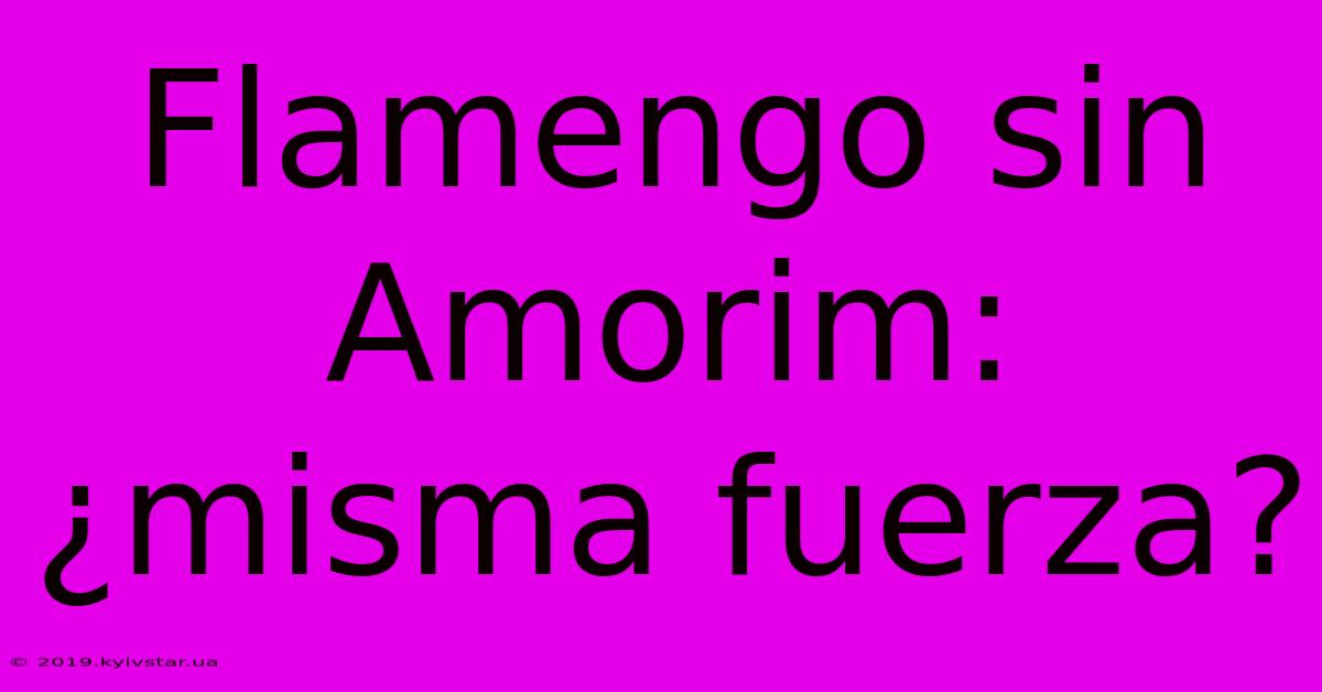 Flamengo Sin Amorim: ¿misma Fuerza?