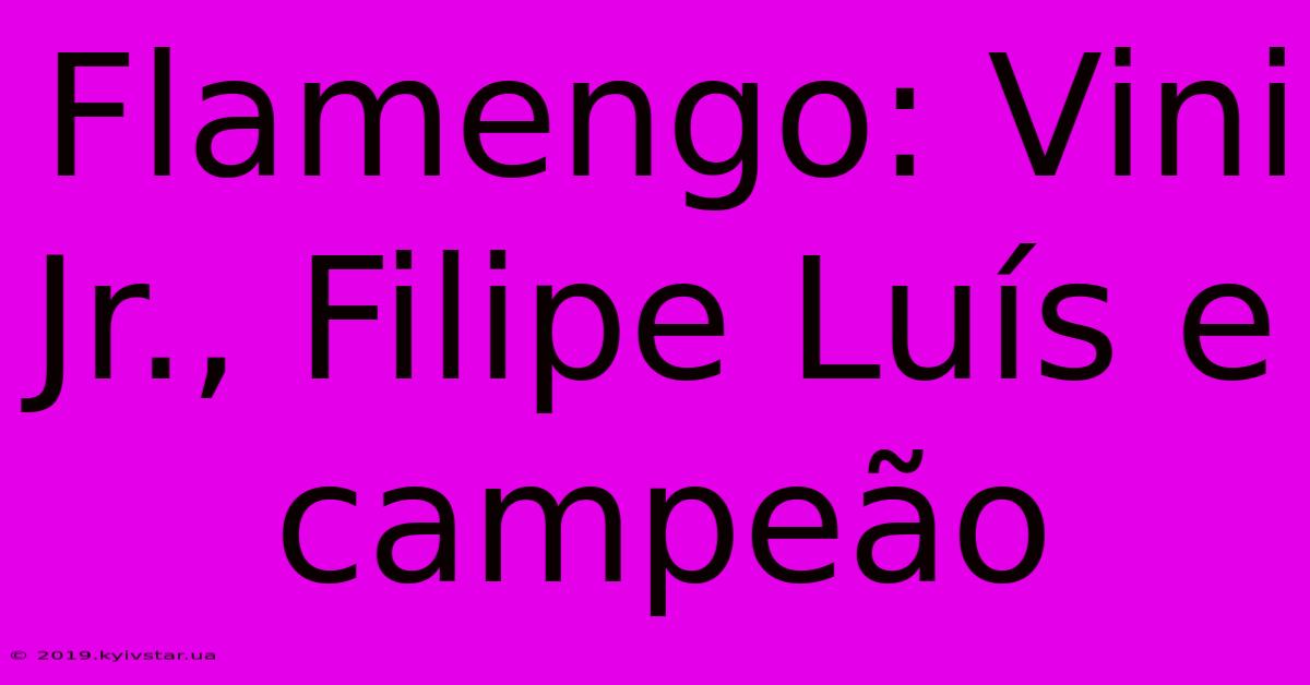 Flamengo: Vini Jr., Filipe Luís E Campeão