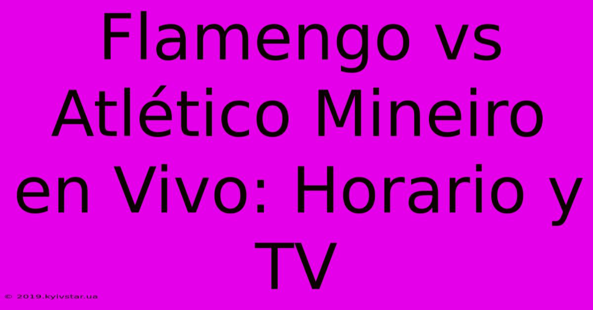 Flamengo Vs Atlético Mineiro En Vivo: Horario Y TV