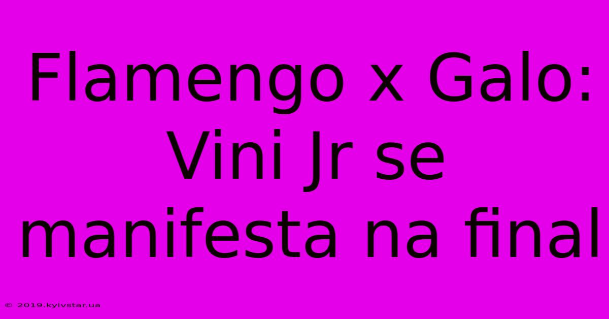 Flamengo X Galo: Vini Jr Se Manifesta Na Final 