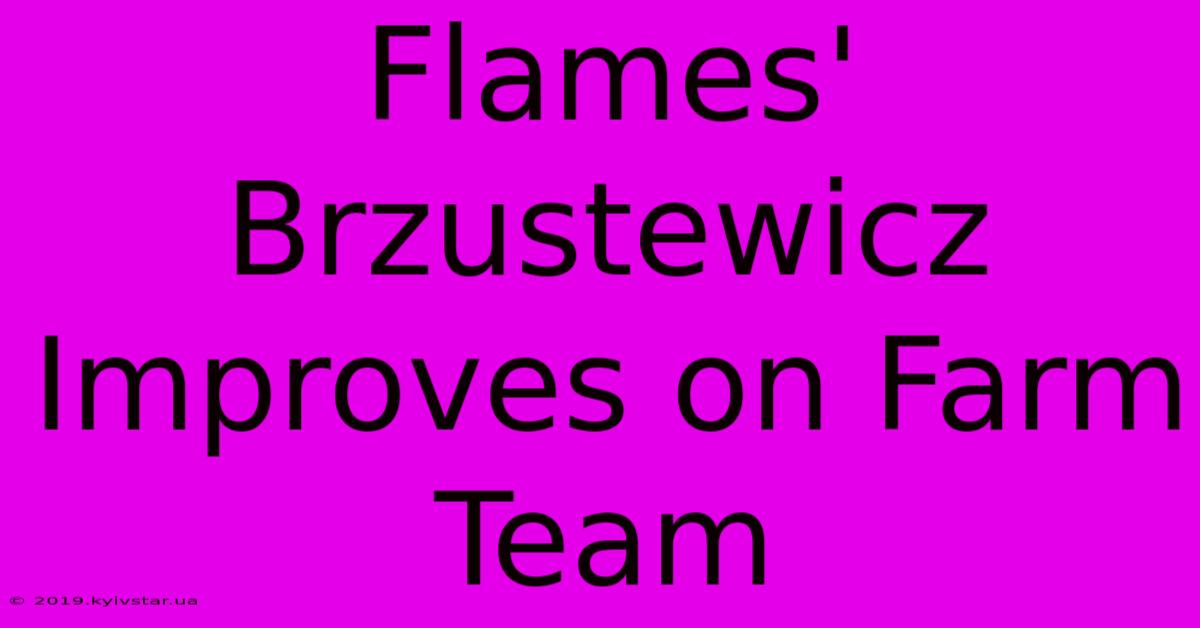 Flames' Brzustewicz Improves On Farm Team