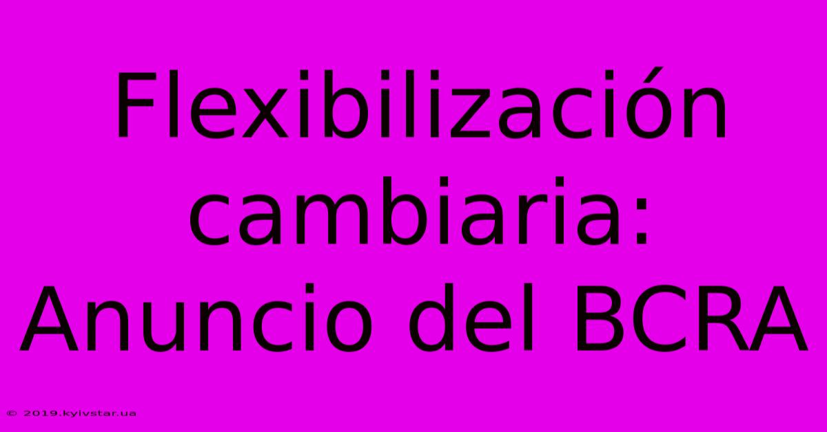 Flexibilización Cambiaria: Anuncio Del BCRA