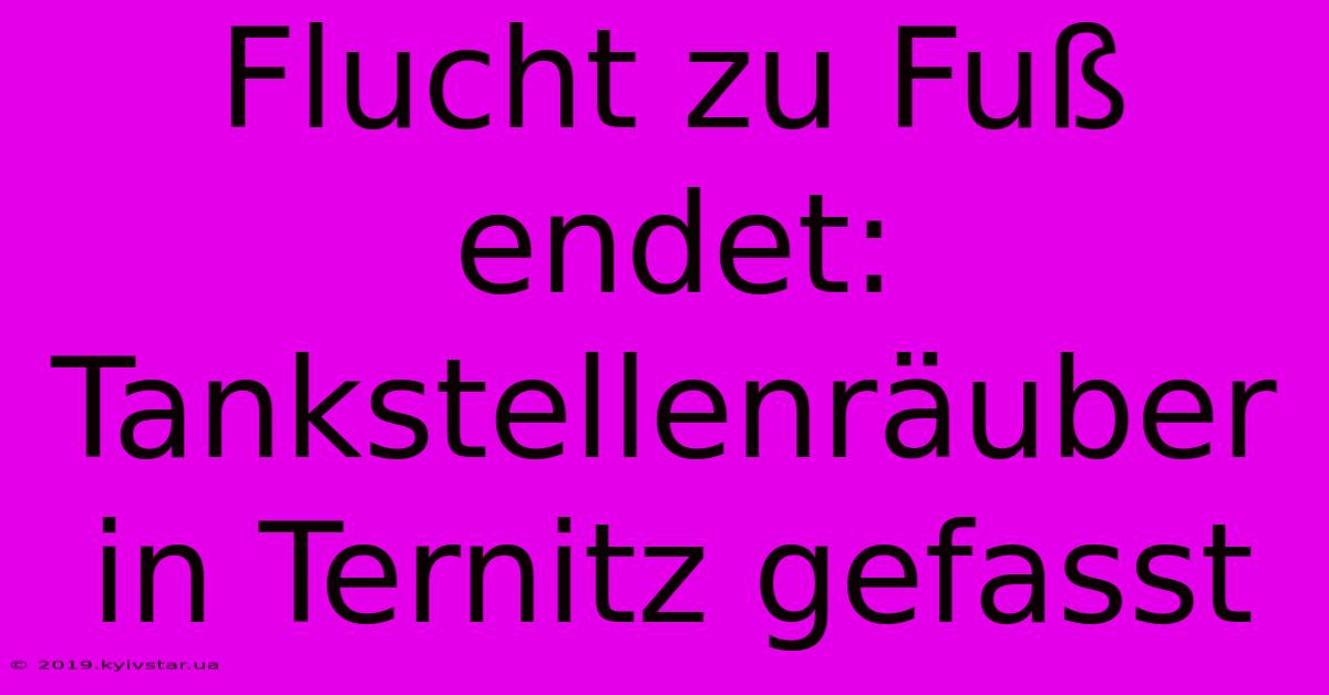 Flucht Zu Fuß Endet: Tankstellenräuber In Ternitz Gefasst 