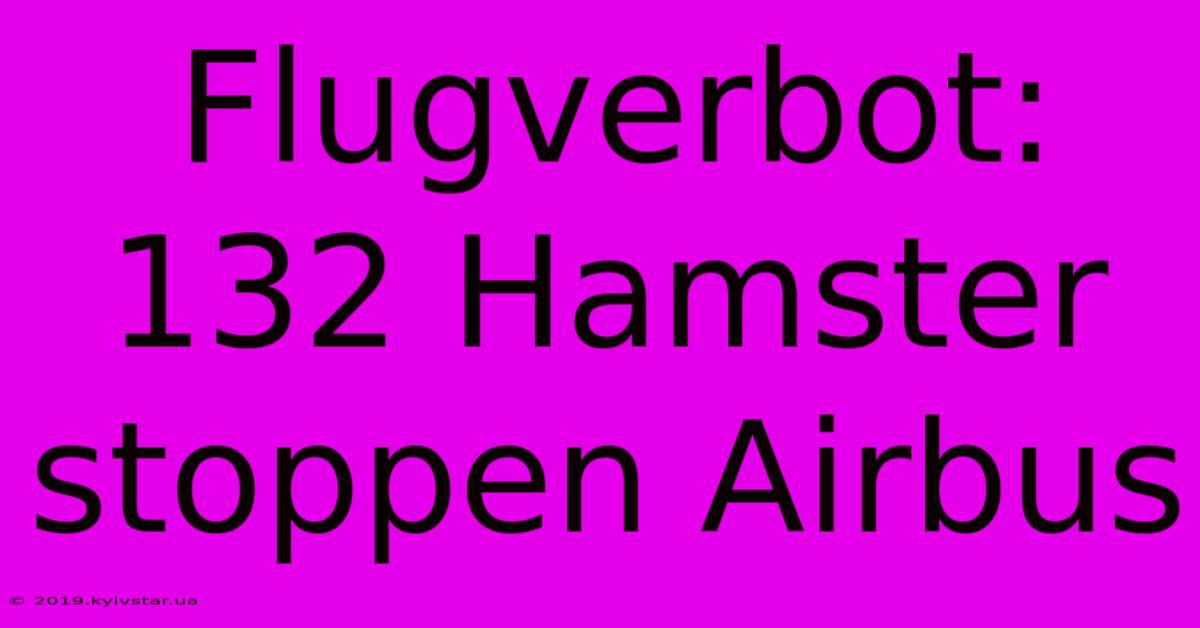 Flugverbot: 132 Hamster Stoppen Airbus