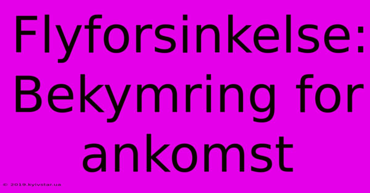 Flyforsinkelse: Bekymring For Ankomst