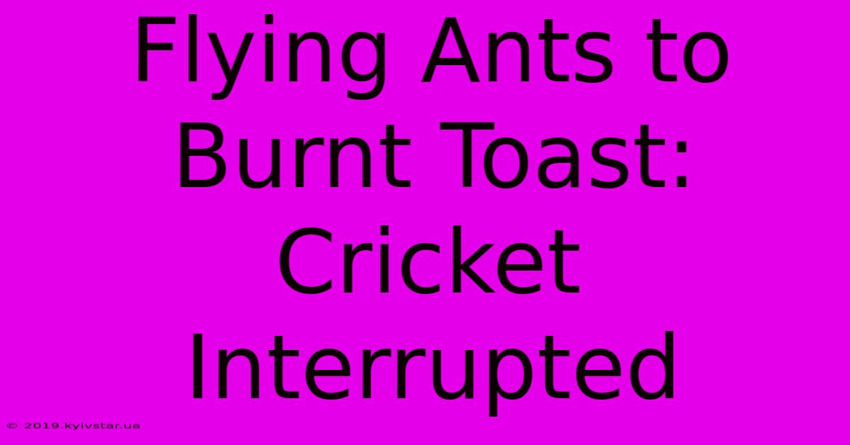 Flying Ants To Burnt Toast: Cricket Interrupted