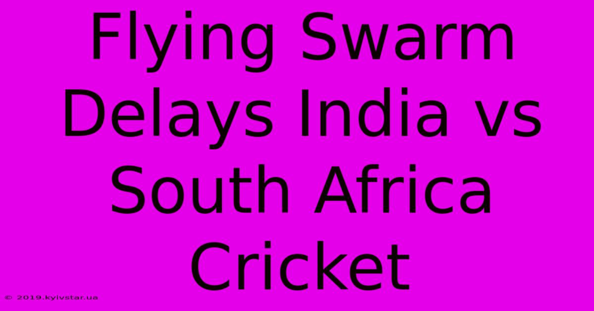 Flying Swarm Delays India Vs South Africa Cricket