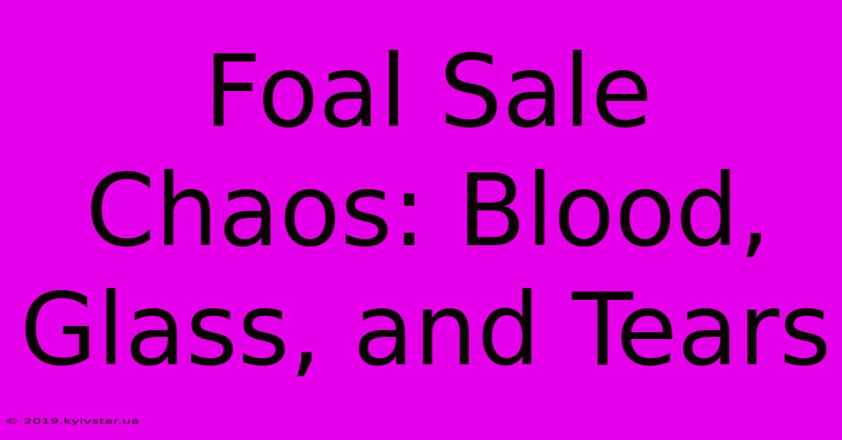 Foal Sale Chaos: Blood, Glass, And Tears