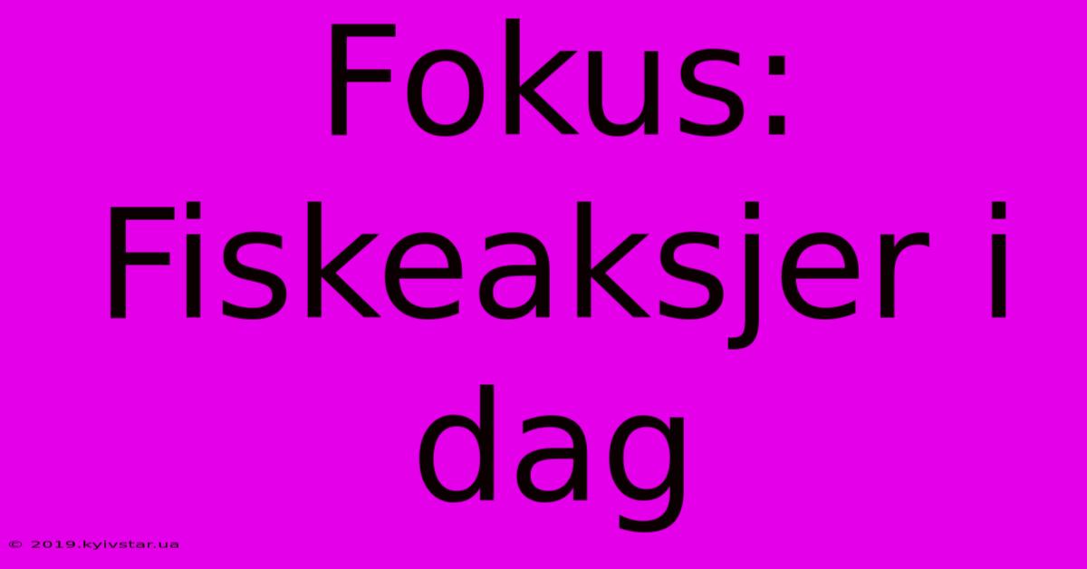 Fokus: Fiskeaksjer I Dag