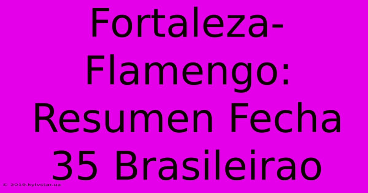 Fortaleza-Flamengo: Resumen Fecha 35 Brasileirao