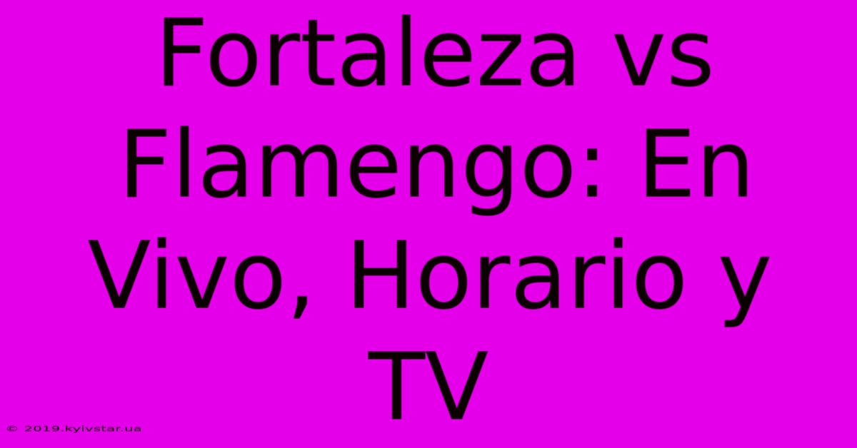 Fortaleza Vs Flamengo: En Vivo, Horario Y TV