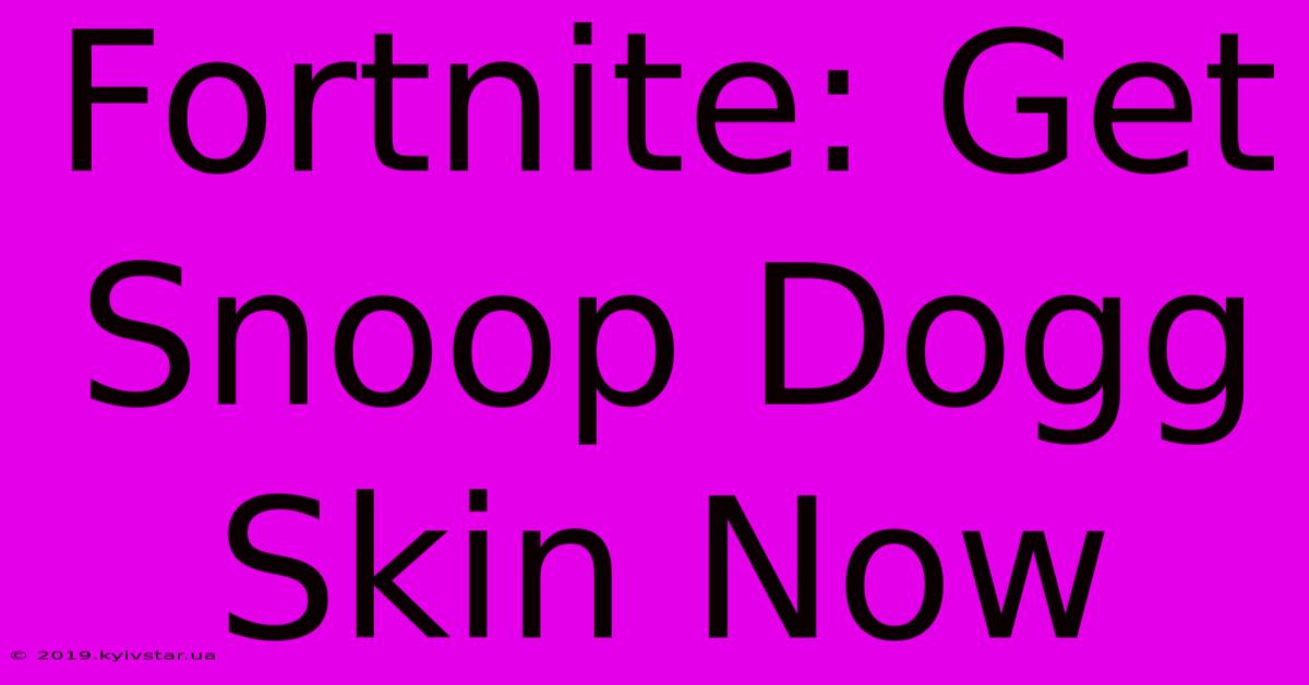 Fortnite: Get Snoop Dogg Skin Now