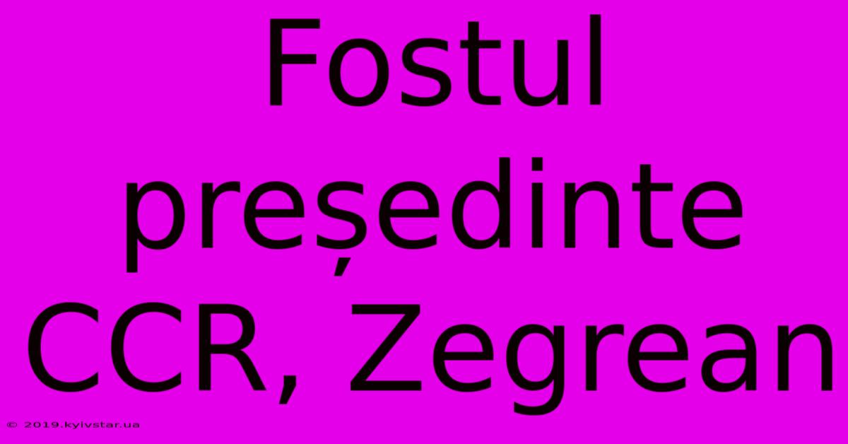 Fostul Președinte CCR, Zegrean