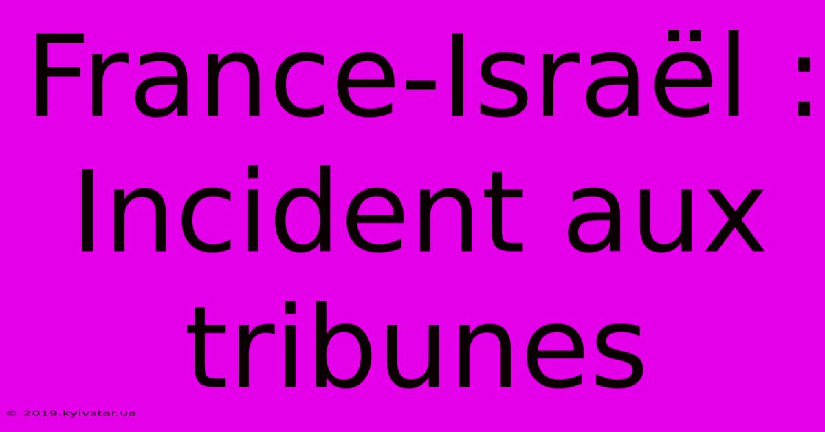 France-Israël : Incident Aux Tribunes