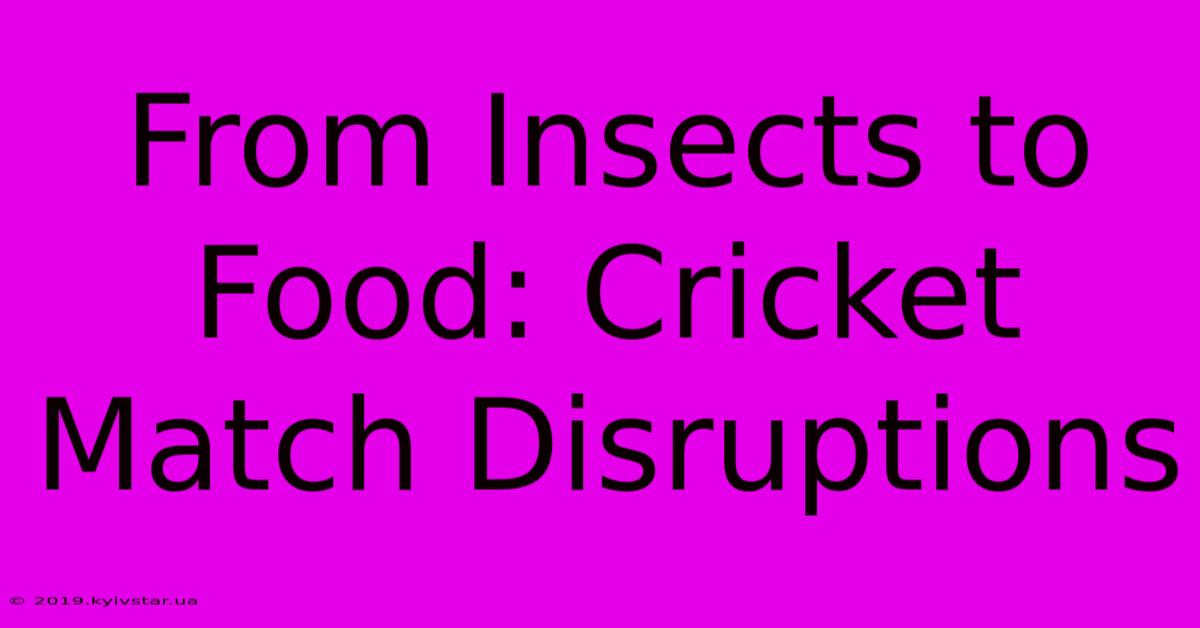 From Insects To Food: Cricket Match Disruptions 