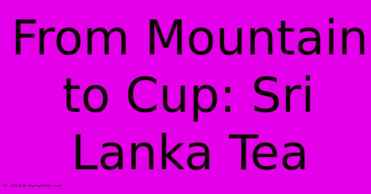 From Mountain To Cup: Sri Lanka Tea