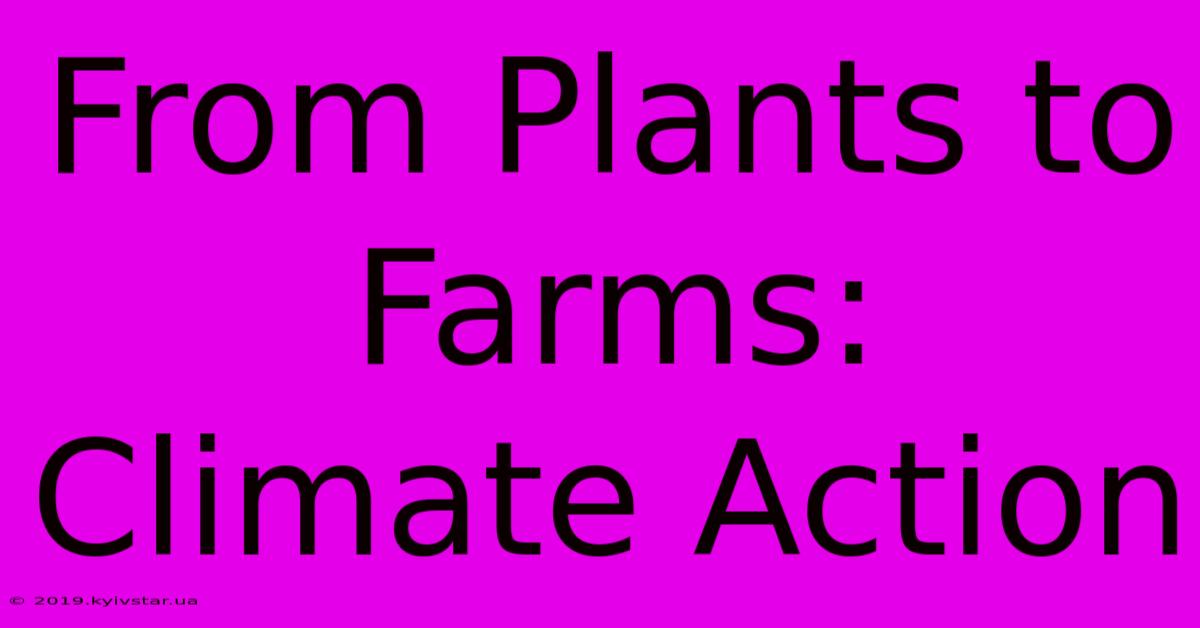 From Plants To Farms: Climate Action