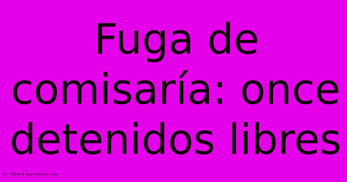 Fuga De Comisaría: Once Detenidos Libres