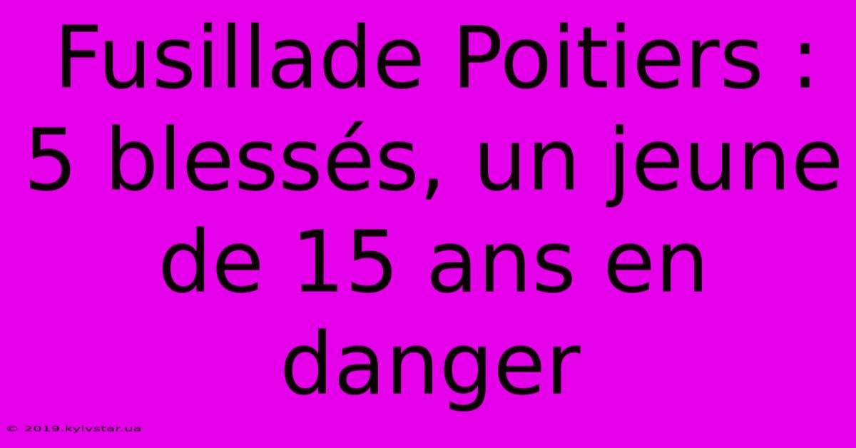 Fusillade Poitiers : 5 Blessés, Un Jeune De 15 Ans En Danger 