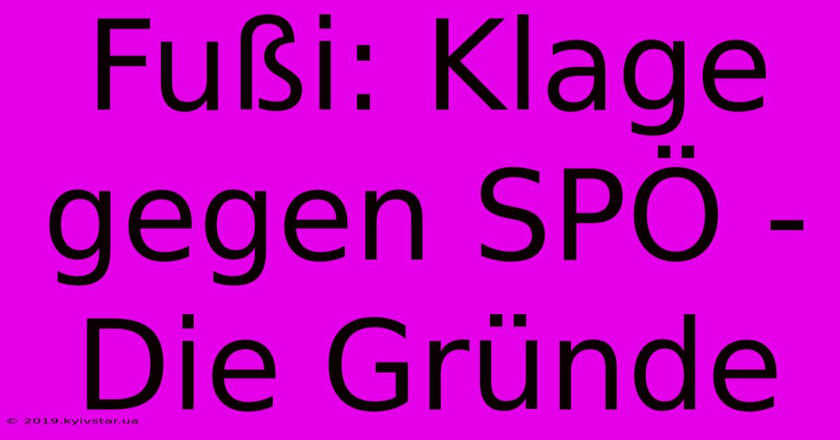 Fußi: Klage Gegen SPÖ - Die Gründe 