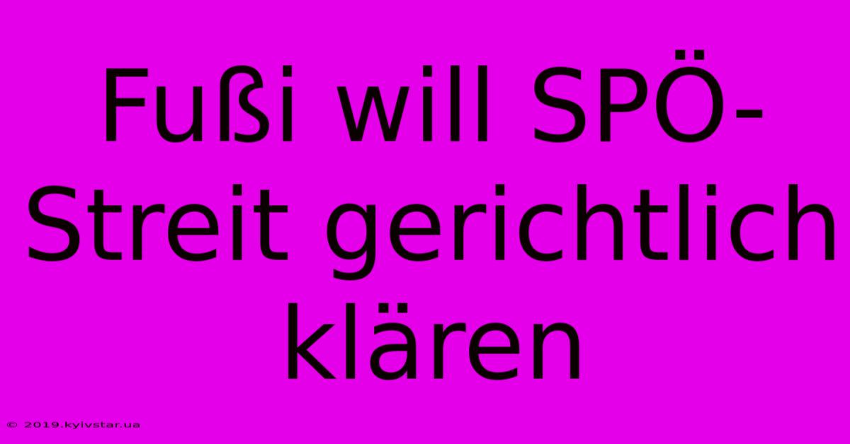 Fußi Will SPÖ-Streit Gerichtlich Klären