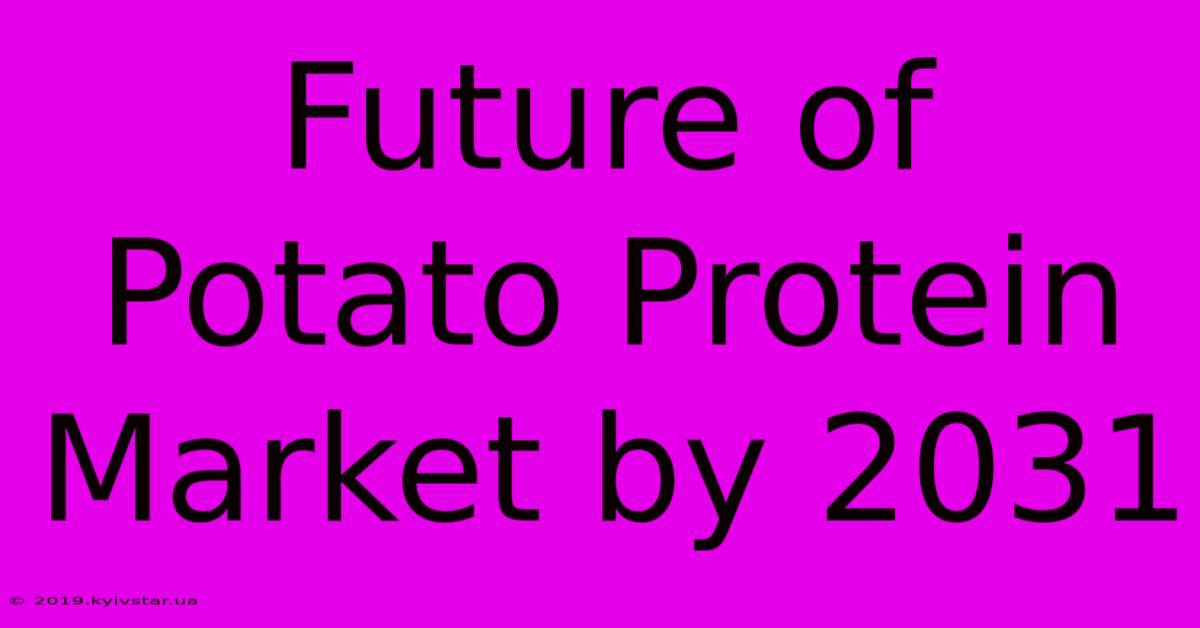 Future Of Potato Protein Market By 2031