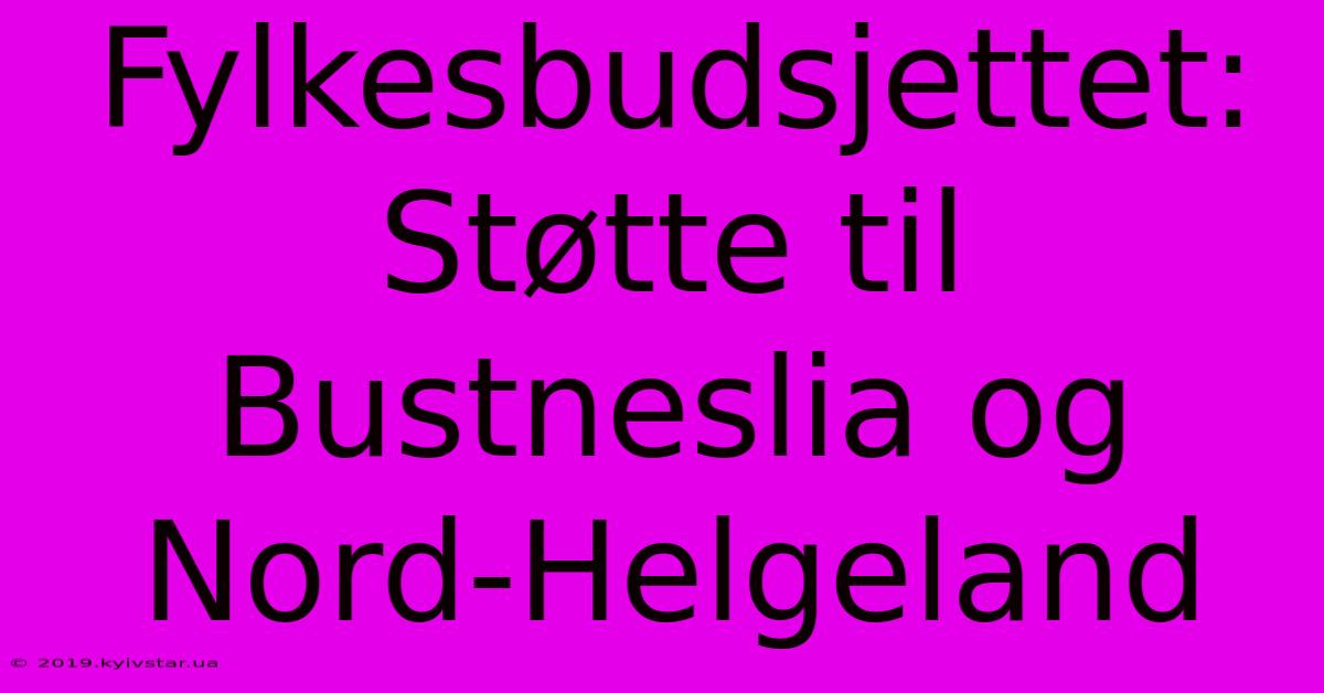 Fylkesbudsjettet: Støtte Til Bustneslia Og Nord-Helgeland 