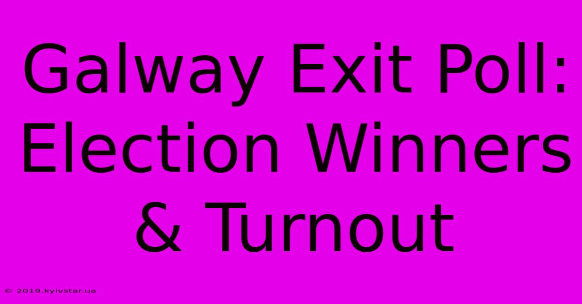 Galway Exit Poll: Election Winners & Turnout