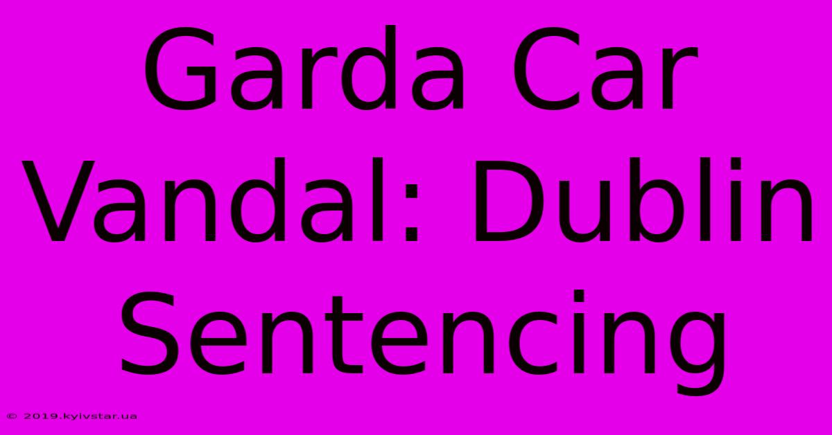 Garda Car Vandal: Dublin Sentencing