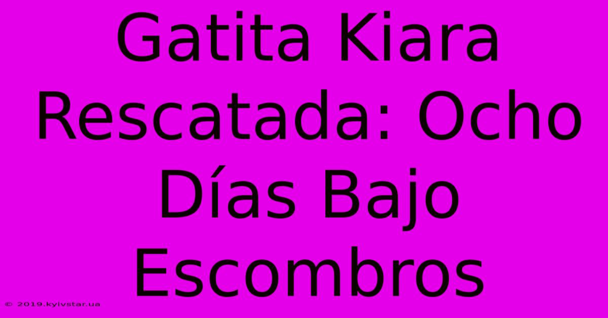 Gatita Kiara Rescatada: Ocho Días Bajo Escombros 