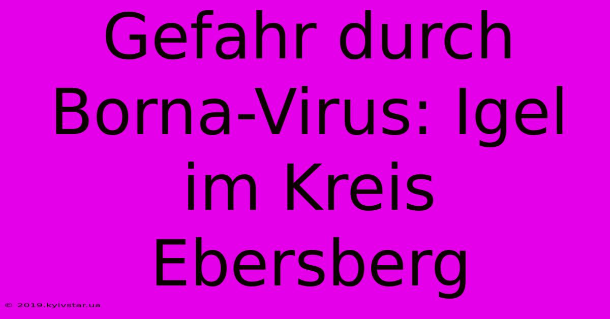 Gefahr Durch Borna-Virus: Igel Im Kreis Ebersberg