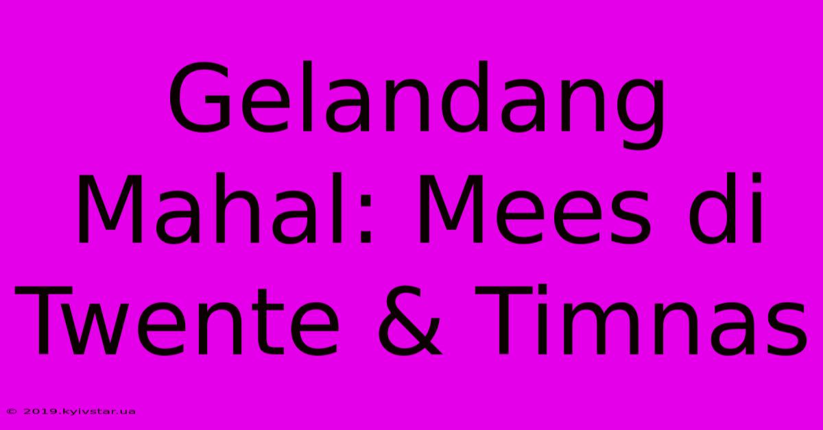 Gelandang Mahal: Mees Di Twente & Timnas