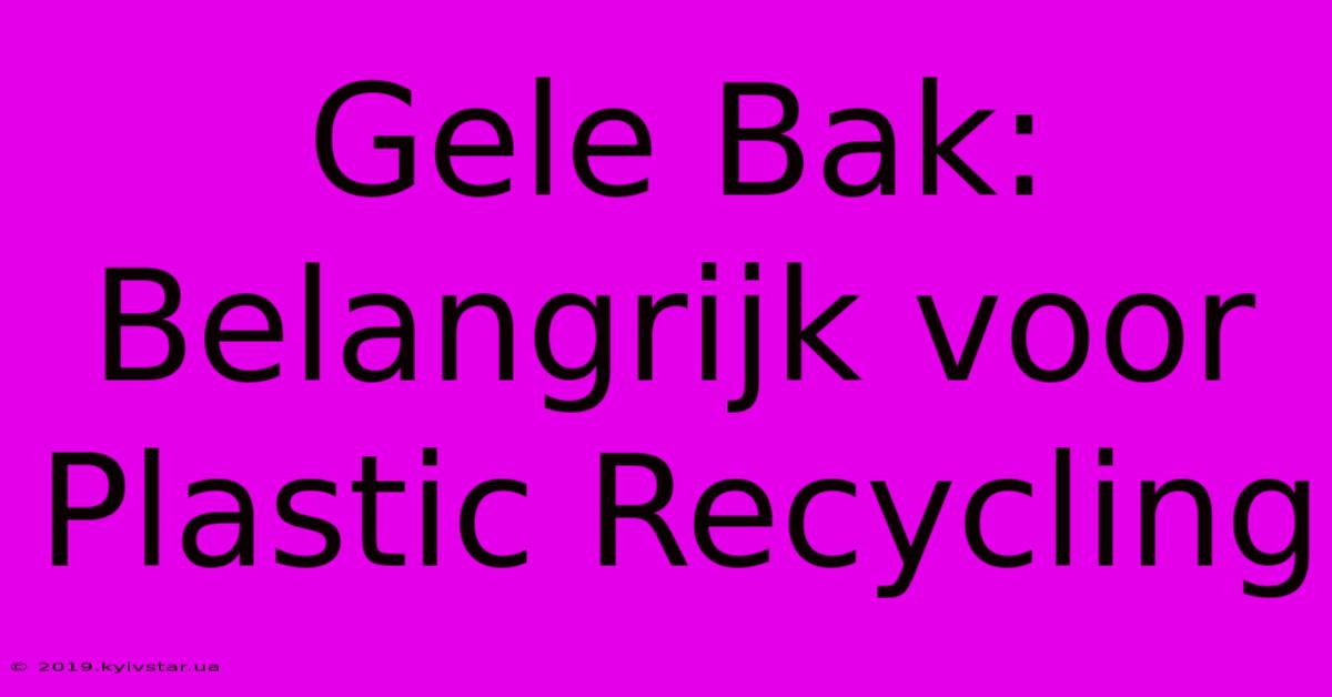 Gele Bak: Belangrijk Voor Plastic Recycling