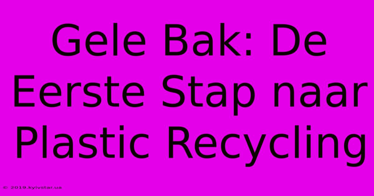 Gele Bak: De Eerste Stap Naar Plastic Recycling