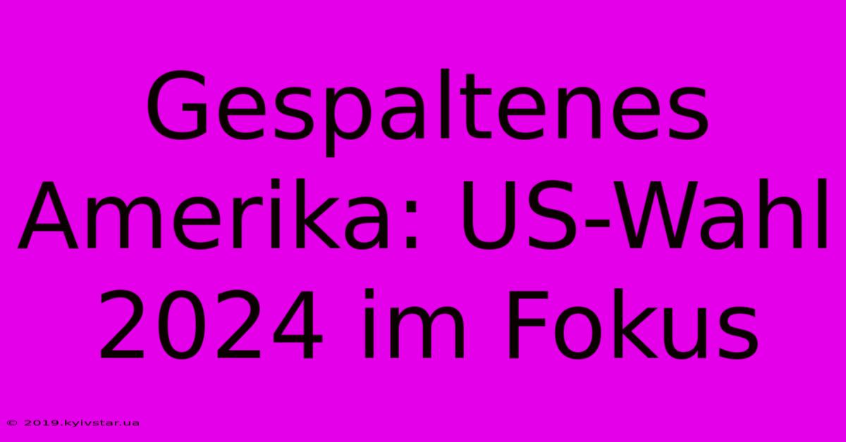 Gespaltenes Amerika: US-Wahl 2024 Im Fokus