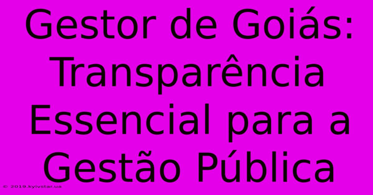 Gestor De Goiás: Transparência Essencial Para A Gestão Pública 