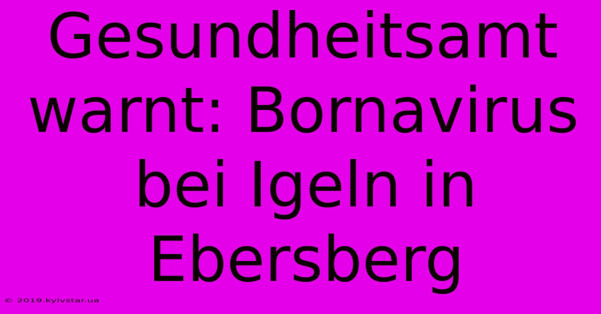 Gesundheitsamt Warnt: Bornavirus Bei Igeln In Ebersberg