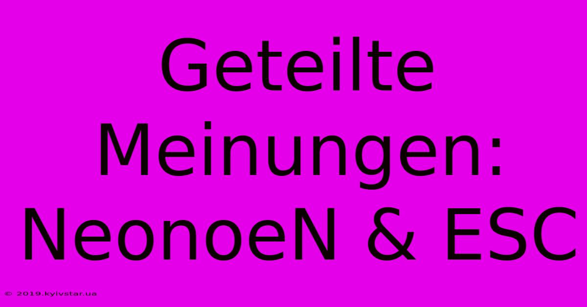 Geteilte Meinungen: NeonoeN & ESC