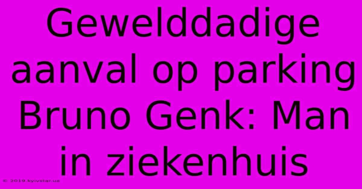 Gewelddadige Aanval Op Parking Bruno Genk: Man In Ziekenhuis 