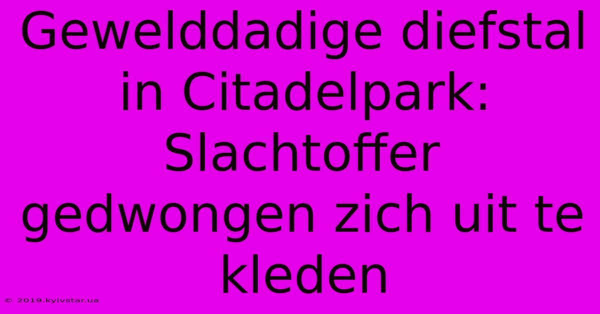 Gewelddadige Diefstal In Citadelpark: Slachtoffer Gedwongen Zich Uit Te Kleden