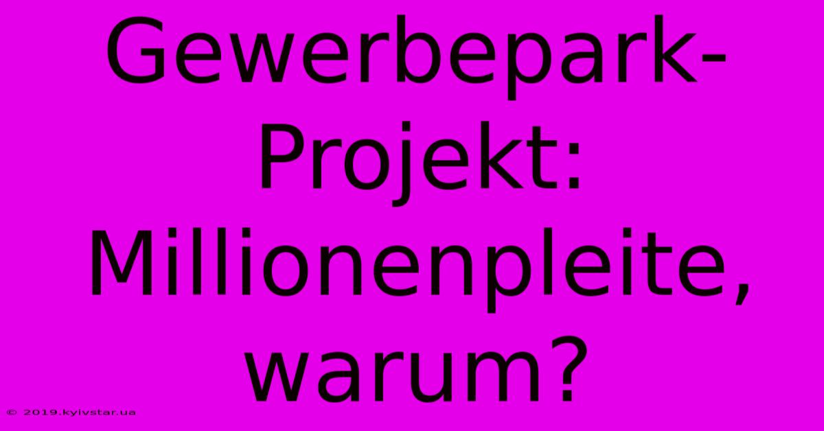 Gewerbepark-Projekt: Millionenpleite, Warum?