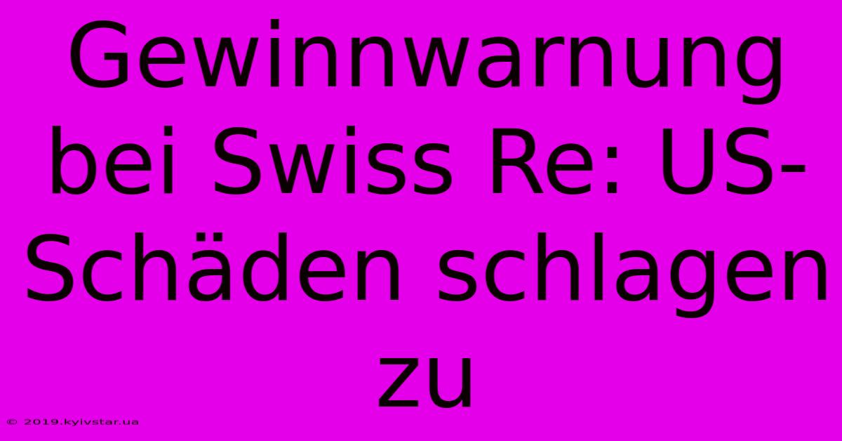 Gewinnwarnung Bei Swiss Re: US-Schäden Schlagen Zu