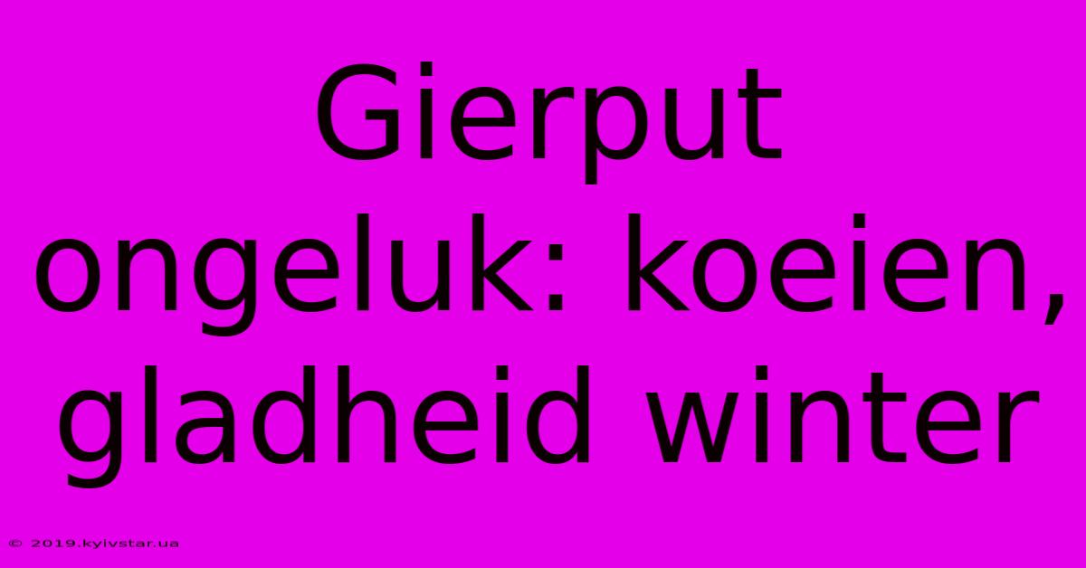 Gierput Ongeluk: Koeien, Gladheid Winter