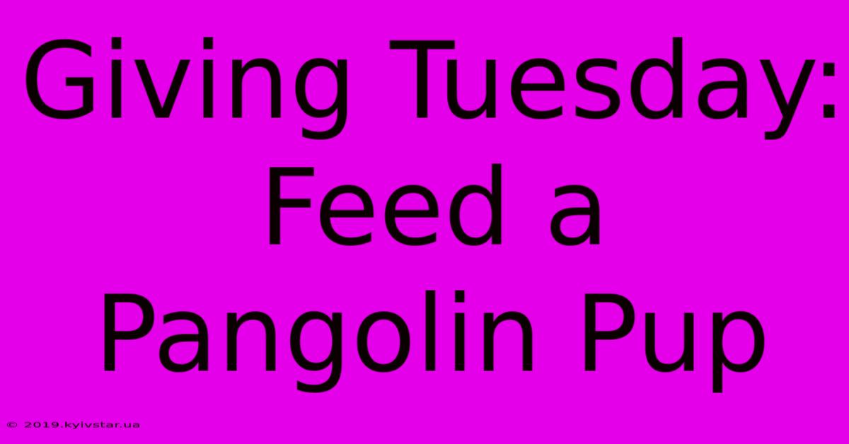 Giving Tuesday: Feed A Pangolin Pup